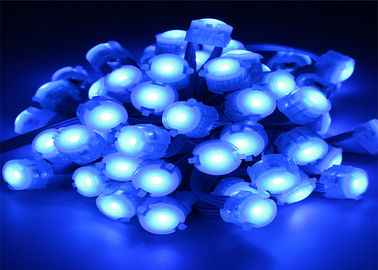 IP67 0.25W Blue DC12V 5050 20mm LED پیکسل نور با 120 زاویه پرتو